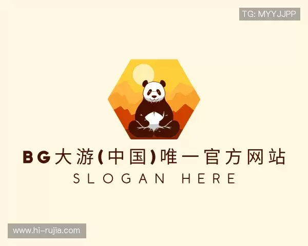 关于BG大游唯一官方网站